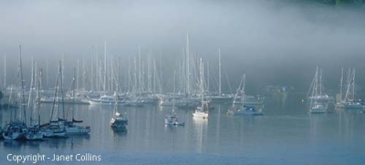 Photo Gallery Image - Misty Morning (Permission Janet Collins)