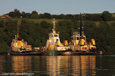 Photo Gallery Image - Three Tugs (Permission Kim Pilkington)